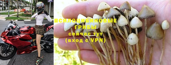 гашик Абаза