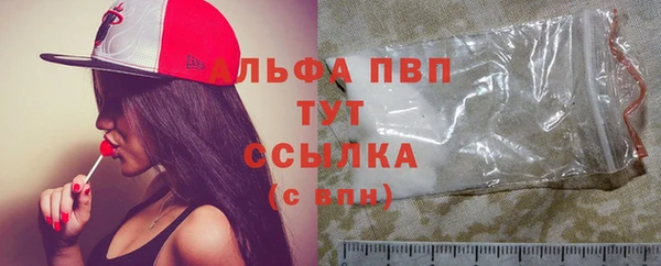гашик Абаза